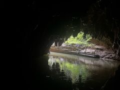 -怀托摩萤火虫洞