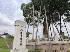 -观潮胜地公园