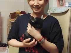 -百好乐宠物友好餐厅(朝外大街店)