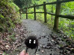 -湖南嵩云山国家森林公园