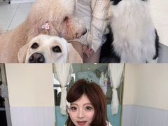 -汪说·狗咖·拼豆·宠物周边DIY(旺城大厦店)