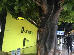 -Liking Fit 24H智能健身(旗舰店)