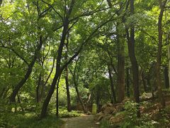 -大连植物园