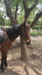 -BabyA 专业婴童摄影(古北时尚广场店)