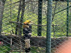 -哈尔滨北方森林动物园