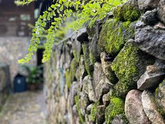 -MOJ coffee(瓯海泽雅水碓坑店)