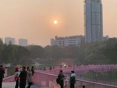 -百林公园-两江幸福广场