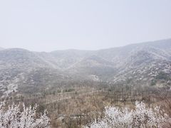 -北京鹫峰国家森林公园