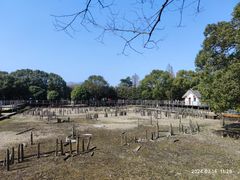 -河姆渡遗址博物馆