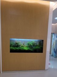 -上海美华妇儿医院