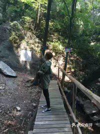 吊水壶国家森林公园图片