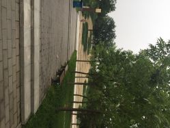 大望京公园-大望京儿童游乐场