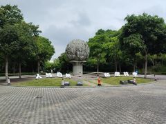 -长广溪湿地公园