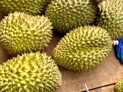 -天河客运站(地铁站)