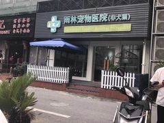 -雨林宠物医院 非犬猫异宠专科