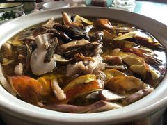 -杨记山珍鸡煲菌汤锅