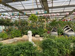 -南宫五洲植物乐园