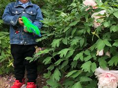 -洛阳市隋唐城遗址植物园