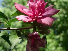 -杭州城北体育公园