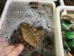 -阿伟海鲜楼·福建菜(延寿店)