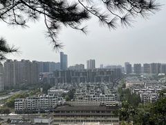 -临平公园(临平街道)