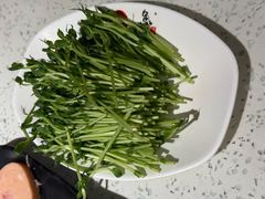 鲜活豆苗-鱼酷活鱼烤鱼(新世界城店)