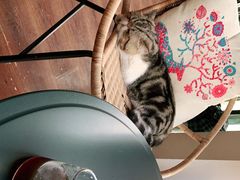 -参差咖啡(水果湖公园店)