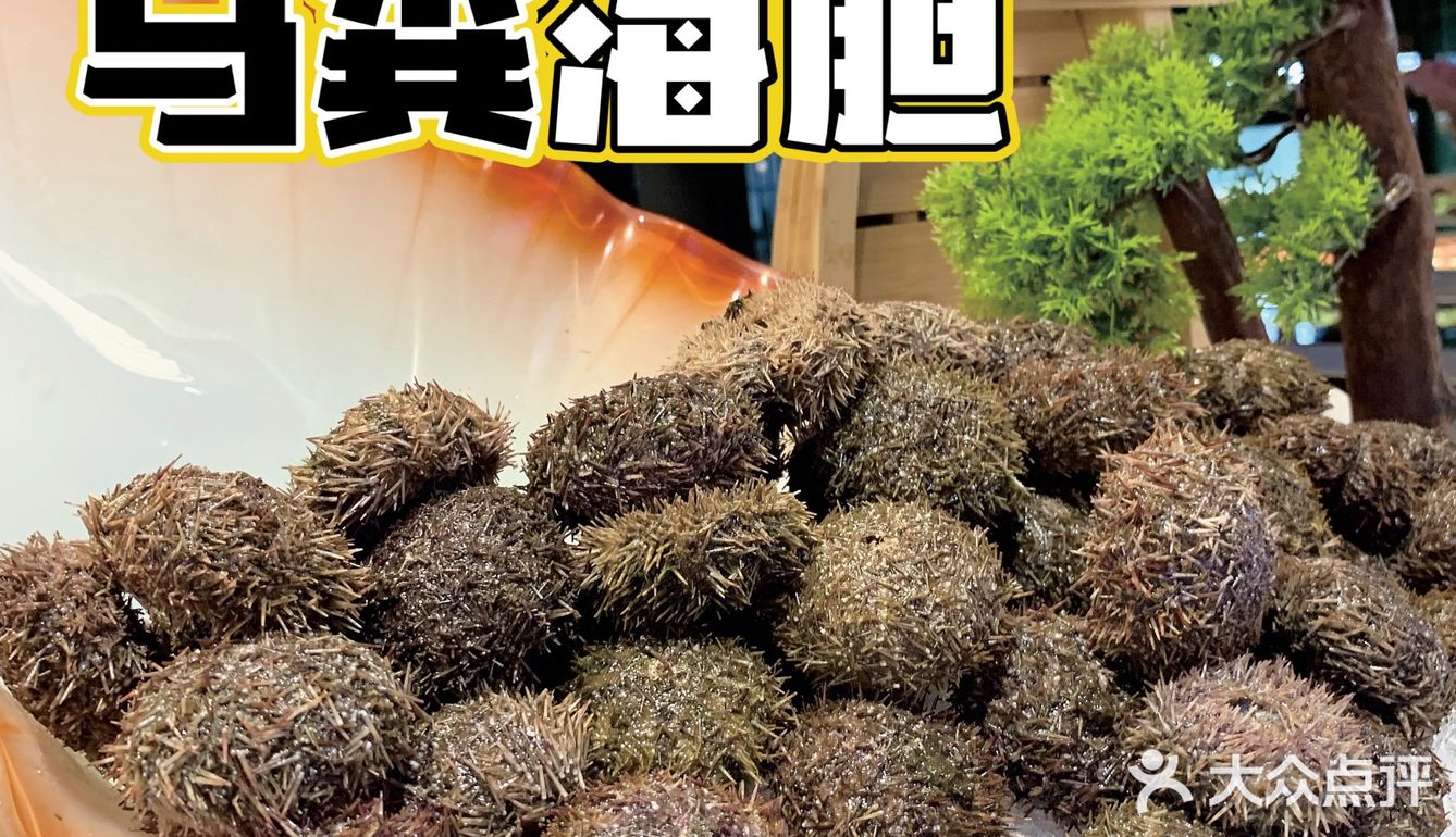 ⚠️武汉帝王蟹🦀️无限供应的豪华餐厅
