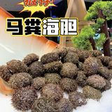 ⚠️武汉帝王蟹🦀️无限供应的豪华餐厅
