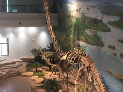 -自贡恐龙博物馆