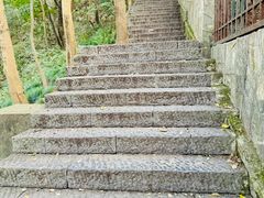 -紫金山天文台