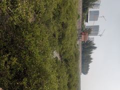 -北海金海湾红树林生态旅游区