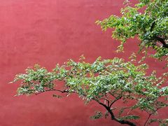 -北京市劳动人民文化宫(太庙)