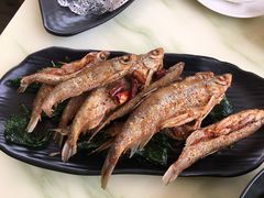 -怡得观滇餐厅·地道昆明菜·1996(海埂大坝店)