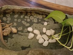-璞禅足道(观音桥旗舰店)