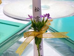 -松云泽