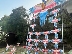-白马涧龙池景区