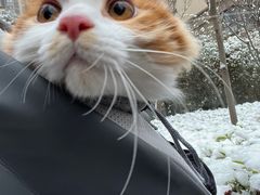 -瑞鹏宠物医院·爱宠堂(环西分院)