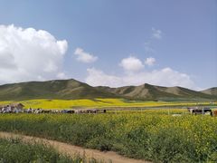 -扁都口生态休闲旅游区