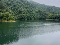 -鼎湖山风景区