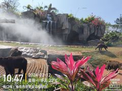-海南热带野生动植物园