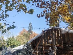 -HERRE·FARM 赫尔露营农场·团建聚会包场