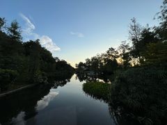 -云溪植物园