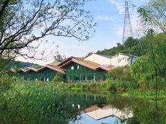 -西湖风景区-江洋畈生态公园