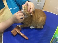 -PETKIT小佩宠物(古北店)