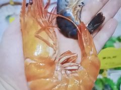 -新海渔港·胶东海鲜家常菜·家宴(奥体中心店)