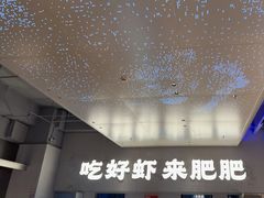 -肥肥虾庄·金牌油焖大虾(汉街SKP店)