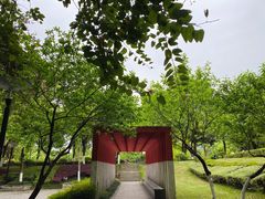-重庆彩云湖湿地公园