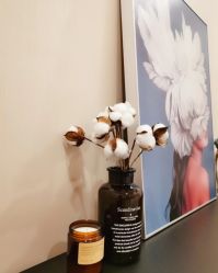 -ROYEA茹彦祛痘·问题肌肤修护中心