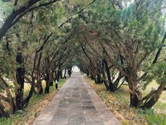 -洛阳古墓博物馆